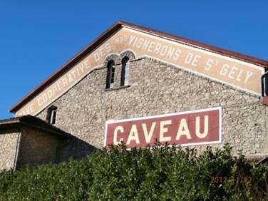 Les Vignerons de Saint-Gély - Vignoble