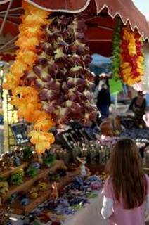 marché hourtin