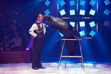 spectacle Arlette Gruss