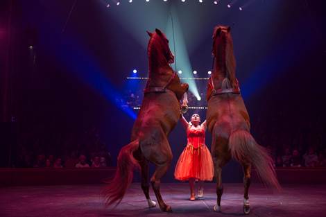 Cirque Arlette Gruss