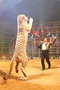 Cirque Amar