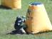 Paint Ball de Donchery Paint Ball de Donchery