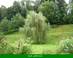 jardin jardin