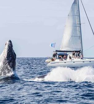 Dal Ocean Aïto Charter