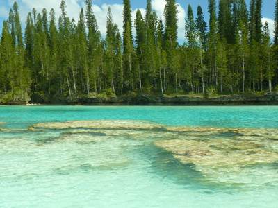 The Natural Pool, Isle of Pines